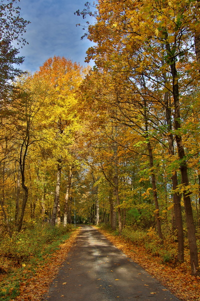 Ekenäs_141024 (7).JPG