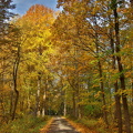 Ekenäs 141024 (7)
