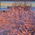 Ekenäs 041224 2 (1)
