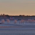 Raseborg 230325 (9)