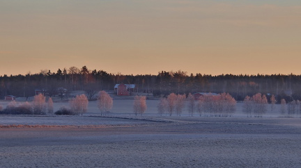 Raseborg 230325 (9)