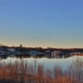 Raseborg 230325 (10)