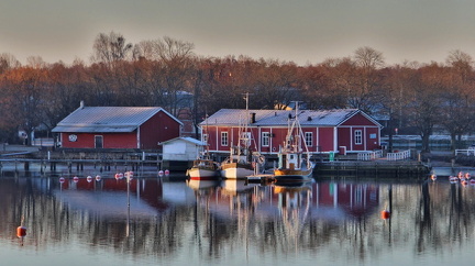 Raseborg 230325 (11)
