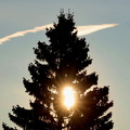 Raseborg 230325 (13)