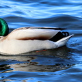 Ekenäs 020425 (2)