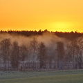 Prästkulla 270425 (5)