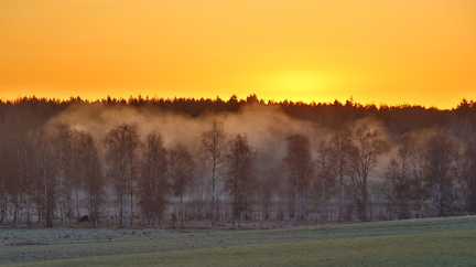 Prästkulla 270425 (5)
