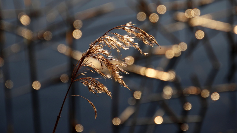 Ekenäs_270425 (7).JPG