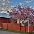 Ekenäs 010525 (6)