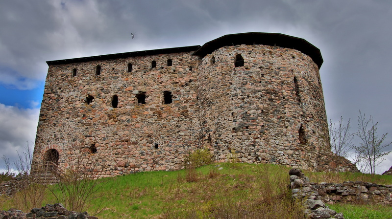 Snappertuna_090525 (3).JPG