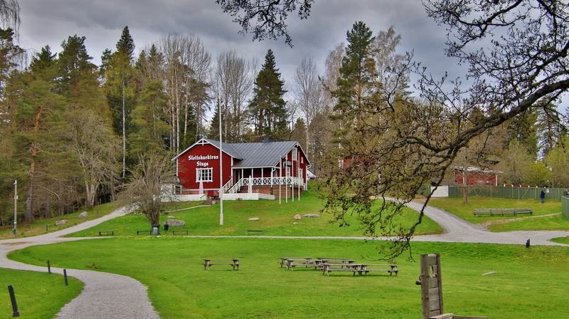 Snappertuna_090525 (6).JPG