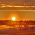 Prästkulla 100525 (3)