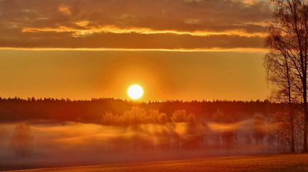 Prästkulla 100525 (3)
