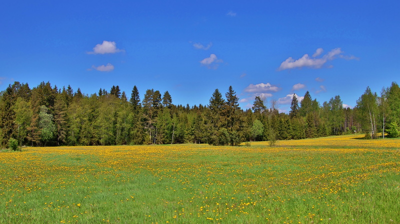 Raseborg_250525 (3).JPG