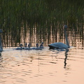 Ekenäs 010625 (1)