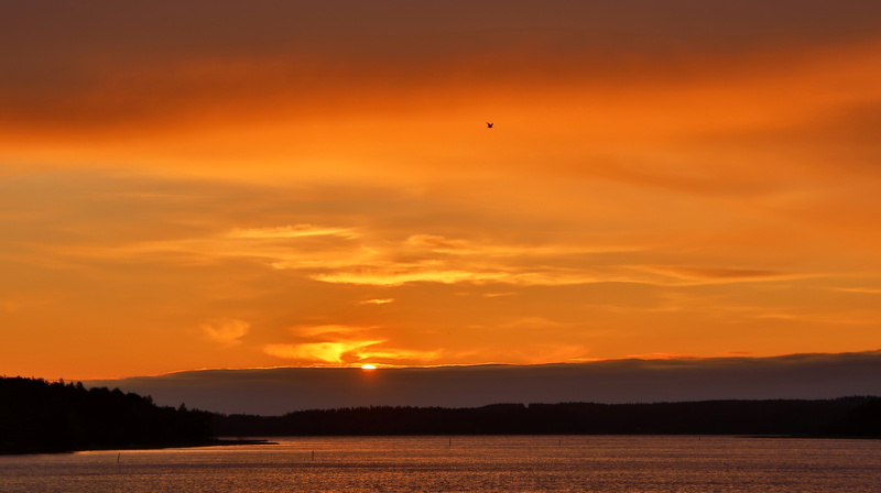 Ekenäs_200625 (4).JPG