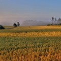 Langansböle 270725 (1)