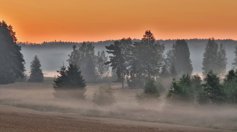 Prästkulla_030825 (3).JPG