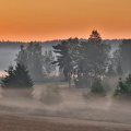 Prästkulla 030825 (3)