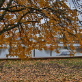Ekenäs 271025 (2)