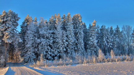 Langansböle 010226 (4)