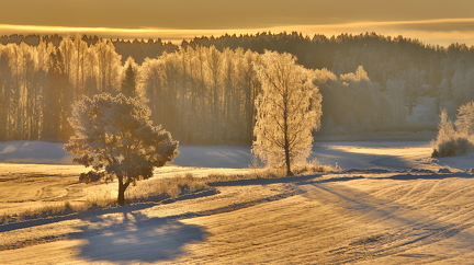 Langansböle 010226 (5)