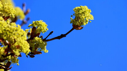 Ekenäs 080526 (5)