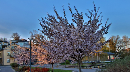 Ekenäs 100526 (10)