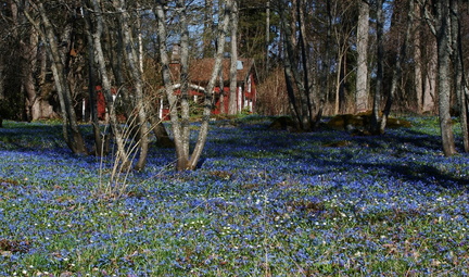 Raseborg (3)