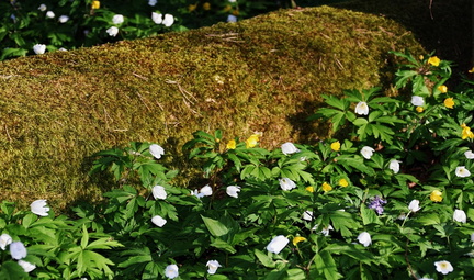 Hagen 050516 (15)