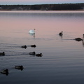 Ekenäs 041224 (2)