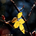 HEM-1 151125 (9)