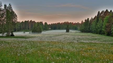 Langansböle 040626 (2)