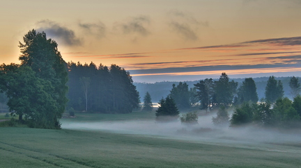 Prästkulla 200626 (9)