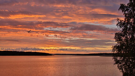 Ekenäs 030726 (7)